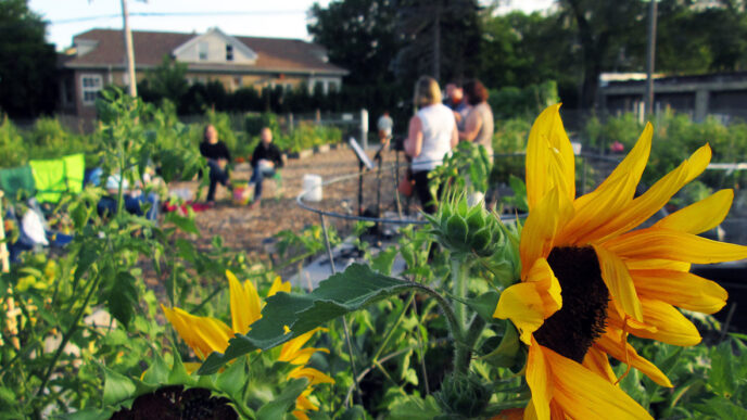 Sunflowers bloom in the foreground as gardeners work at the Peterson Garden|LaManda Joy next to a raised bed in her yard garden|A sign in a garden plot at Peterson Garden reads 'Plant Kindness.