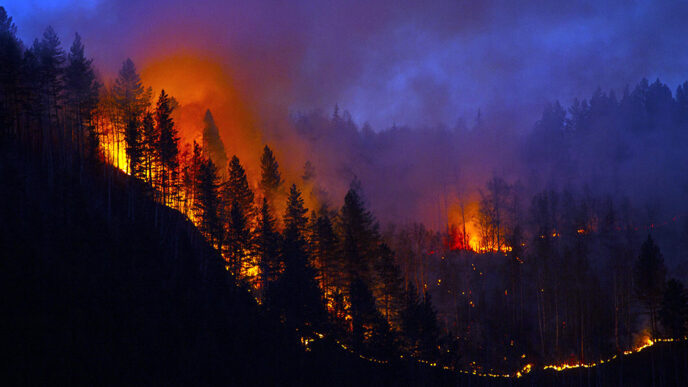 Wildfire sweeps down a hillside covered with trees against a night sky.